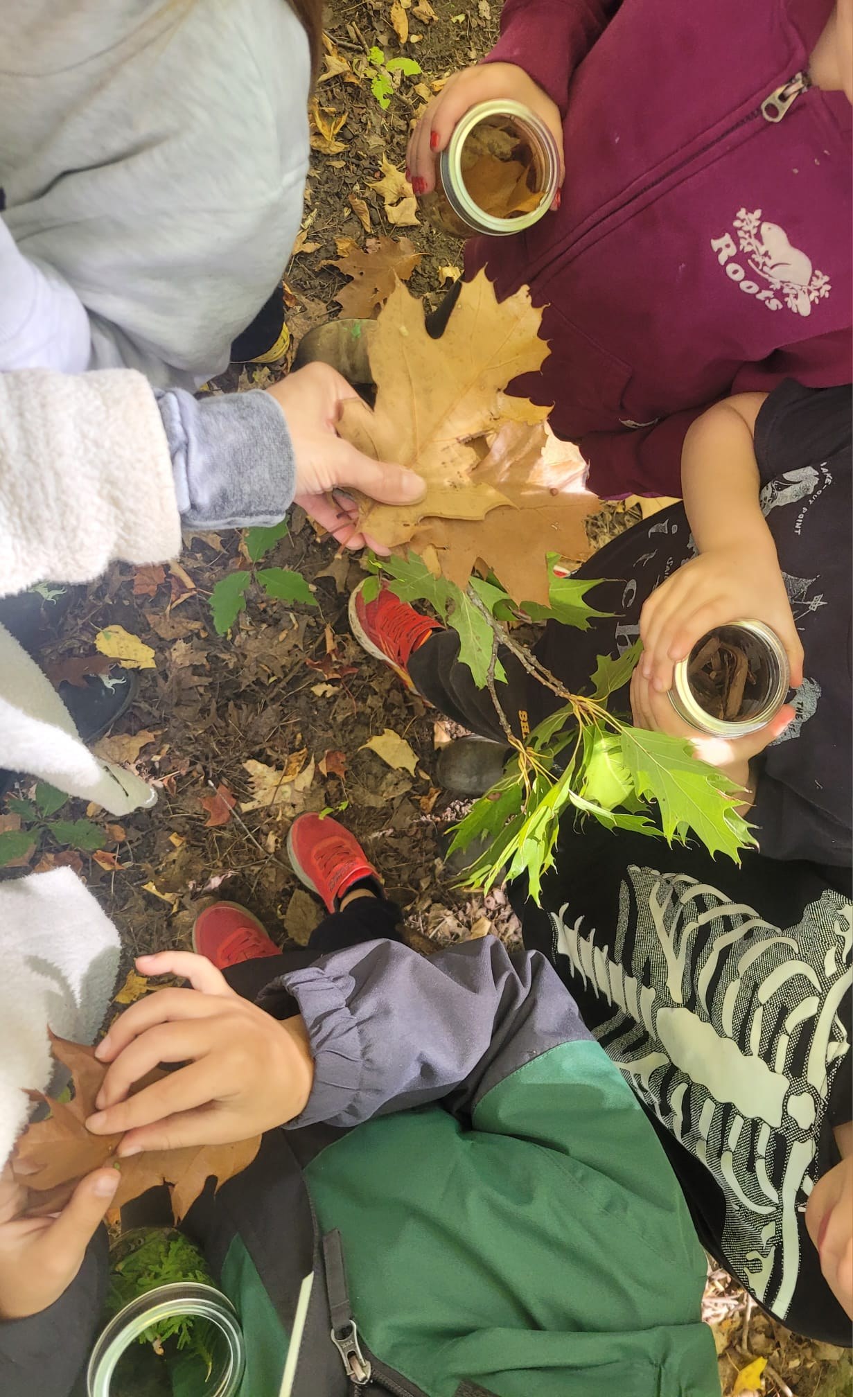 Children gathered in a circle holding autumn leaves and collection jars