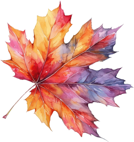 Watercolour illustration of an autumn maple leaf
