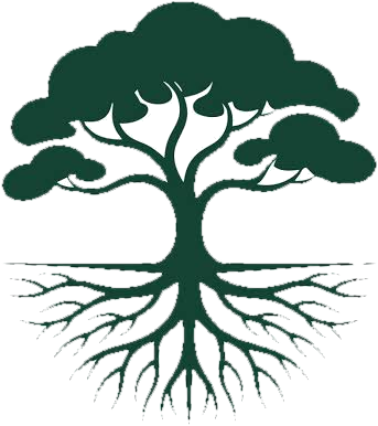 Illustration of a tree with deep roots